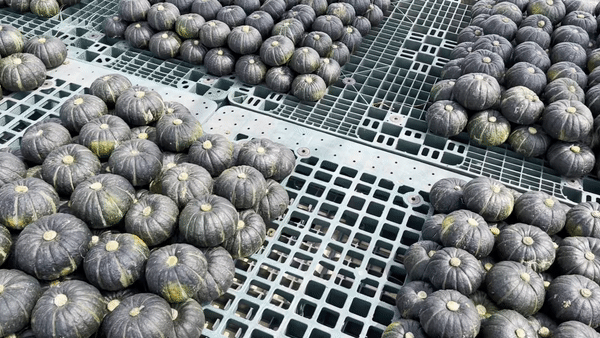 ezgif.com-gif-maker (9).gif