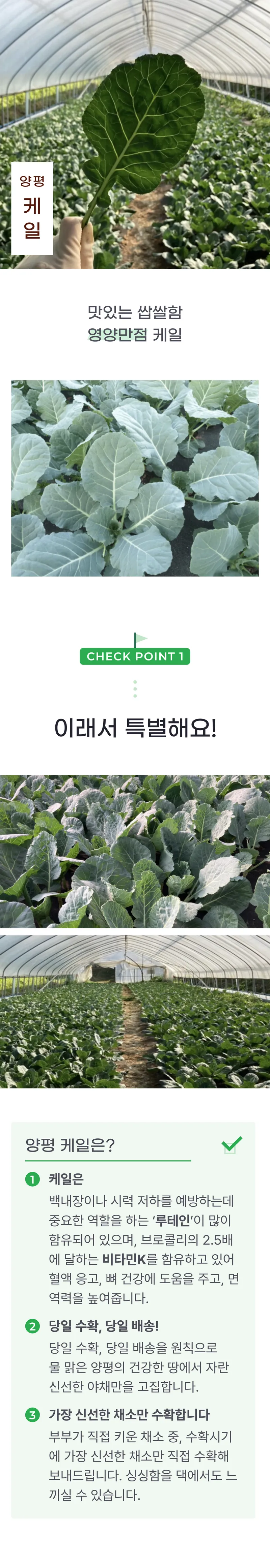 01 생산~포장 과정 (A).png