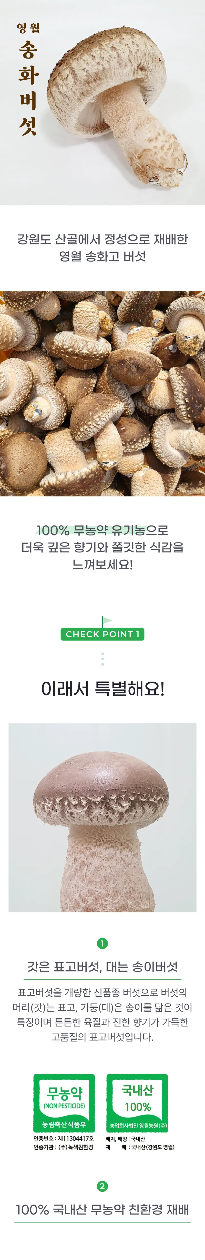 01 생산~포장 과정 (A).png