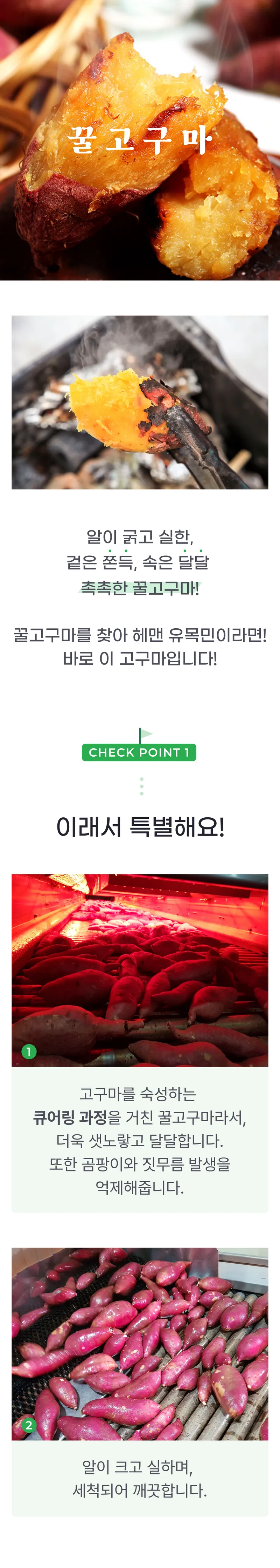 01 생산~포장 과정 (A).png