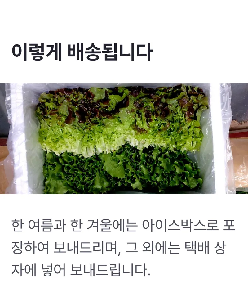 배송정보.png