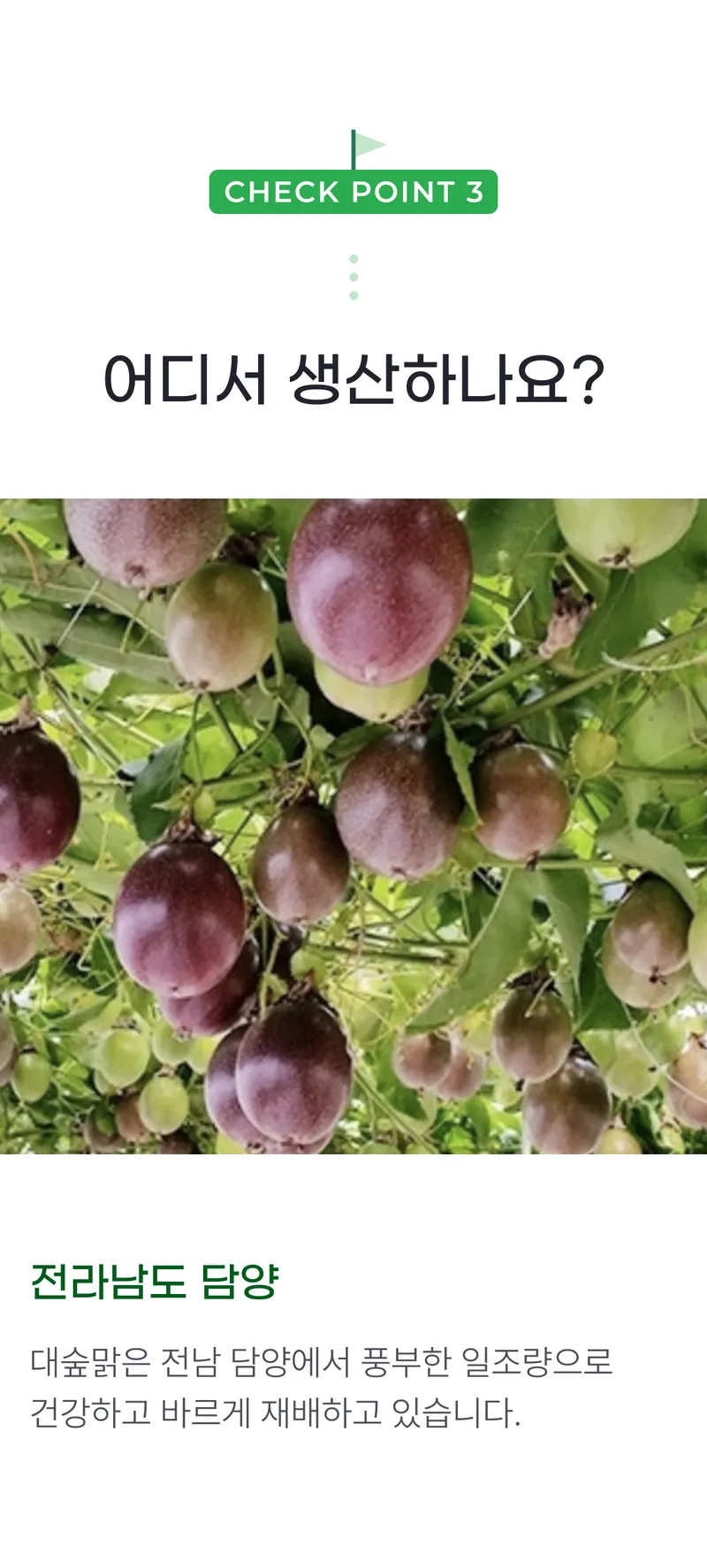 03 어디서 생산하나요_.png