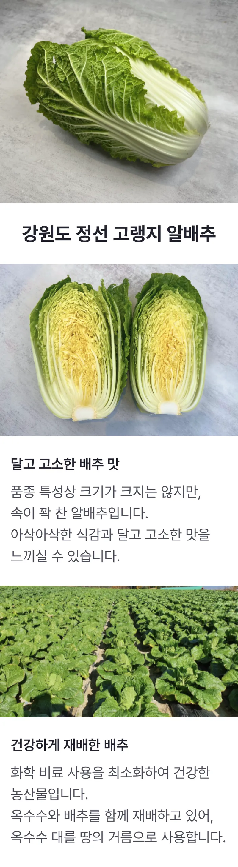 소구점.png