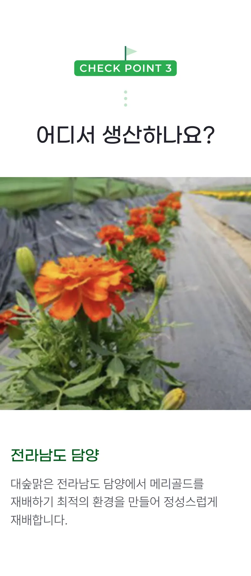 03 어디서 생산하나요_.png