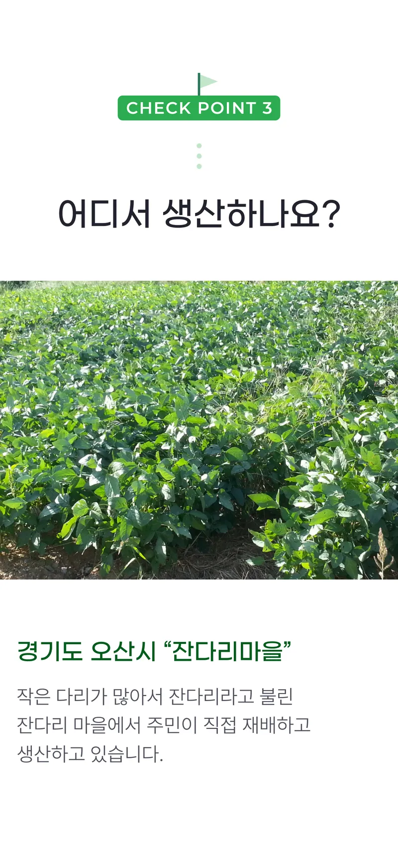 03 어디서 생산하나요_.png