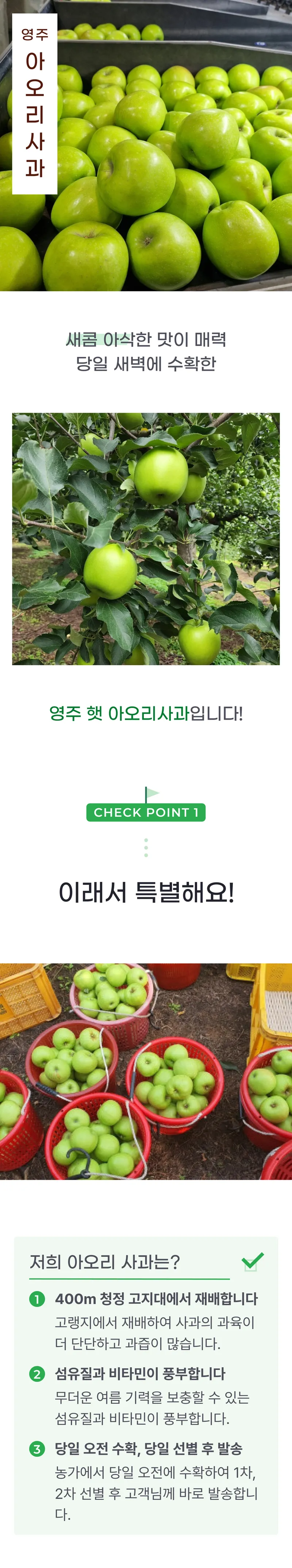 01 생산~포장 과정 (A).png