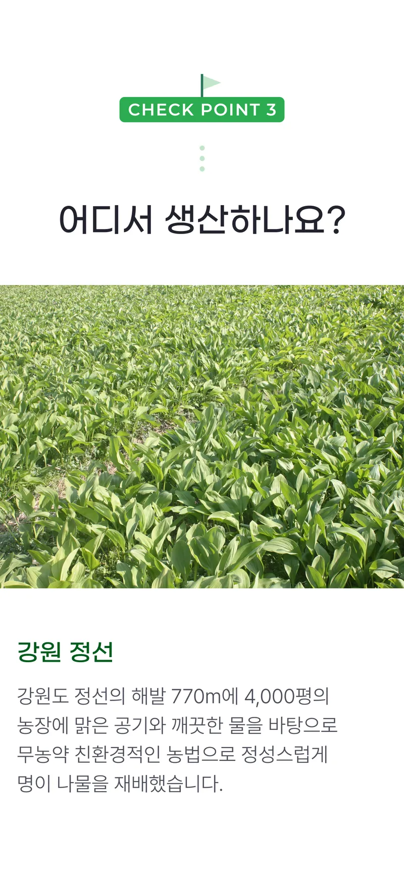 03 어디서 생산하나요_.png
