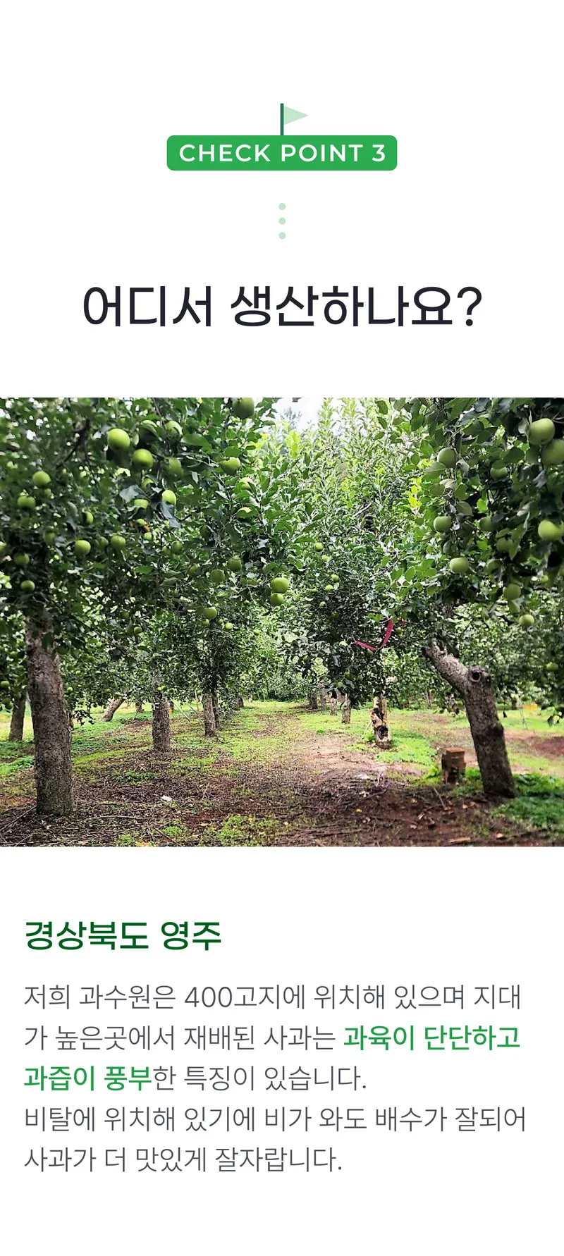 03 어디서 생산하나요_.png