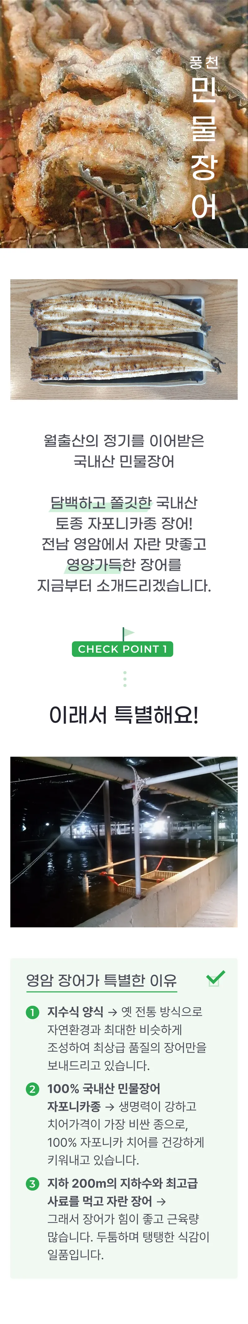 01 생산~포장 과정 (A) 장어.png