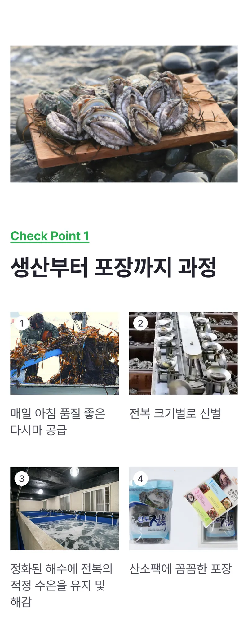 01 생산~포장 과정 (A).png