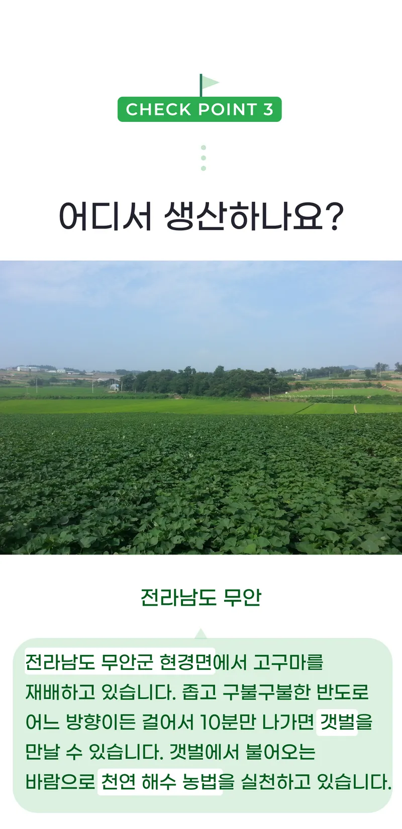 03 어디서 생산하나요_.png