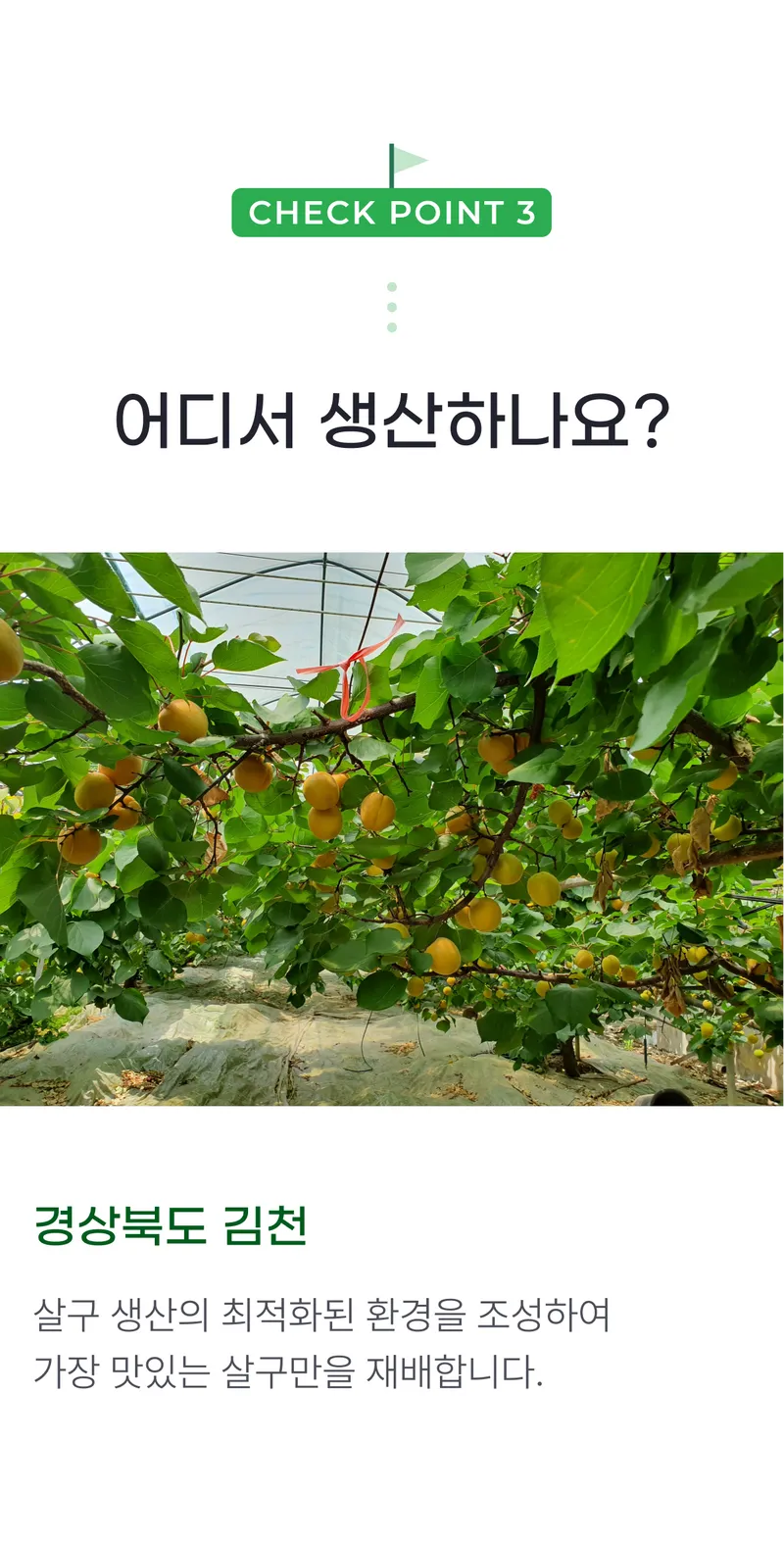 03 어디서 생산하나요_.png