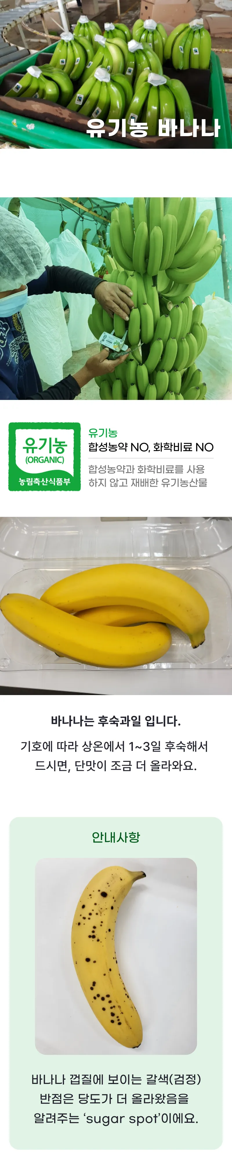 01 생산_포장 과정 (A).png
