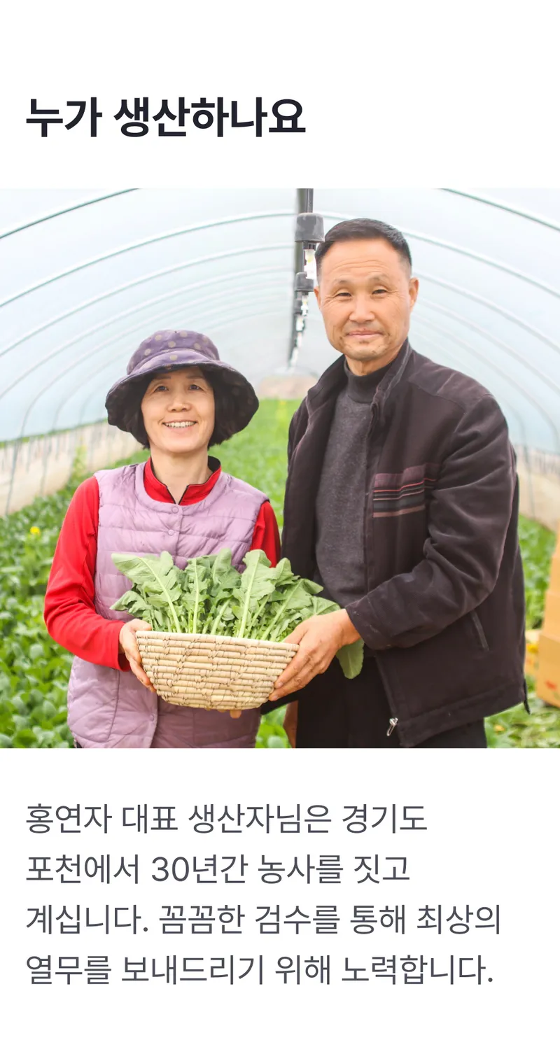 생산자정보.png