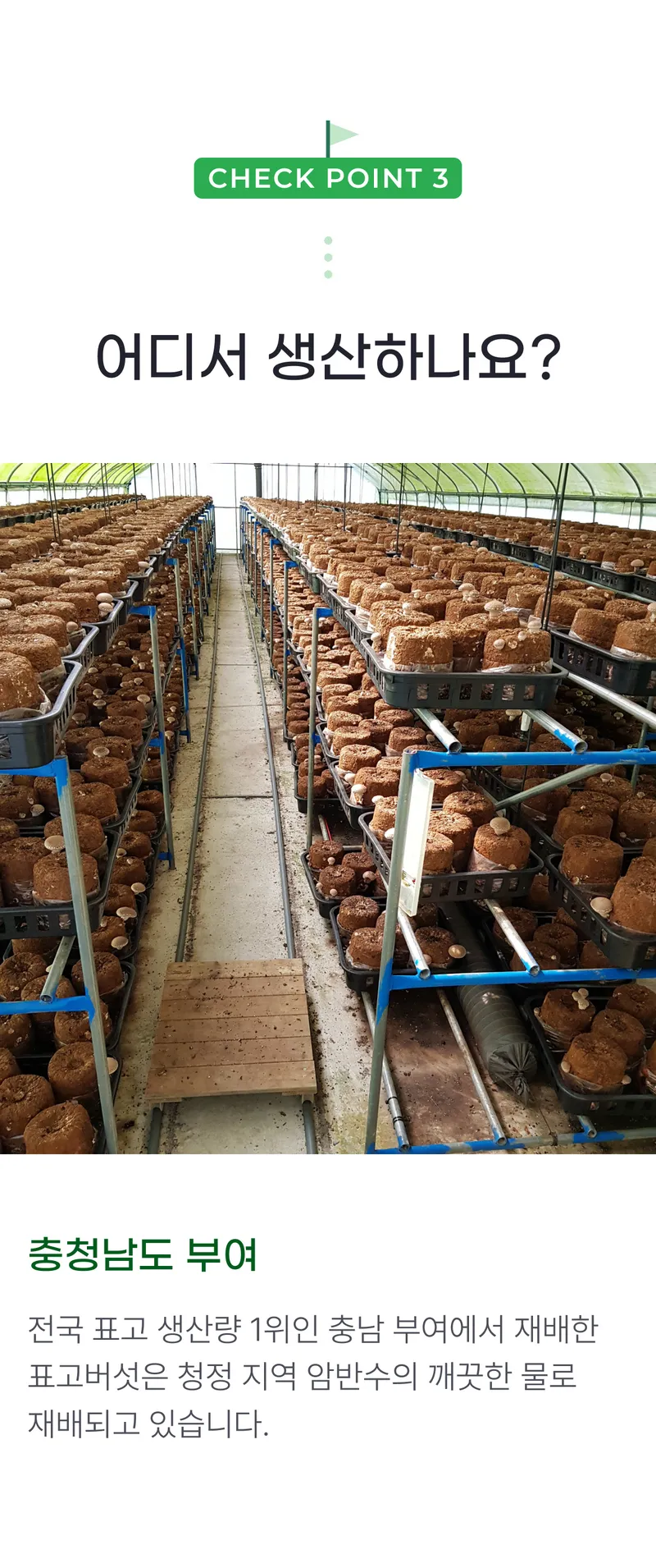 03 어디서 생산하나요_.png