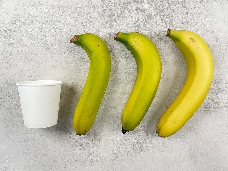 비열한 나 바나나