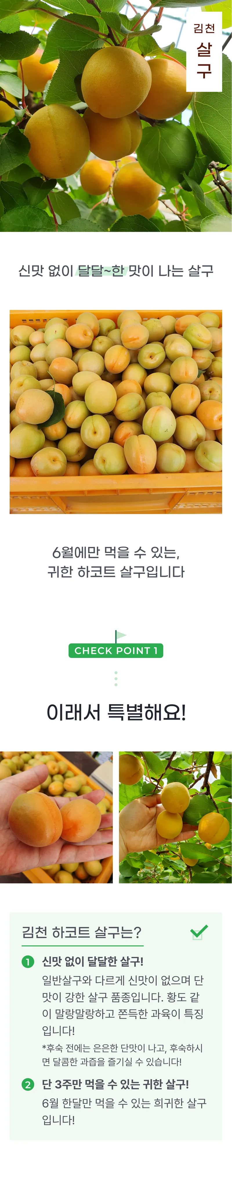 01 생산~포장 과정 (A) 살구.png