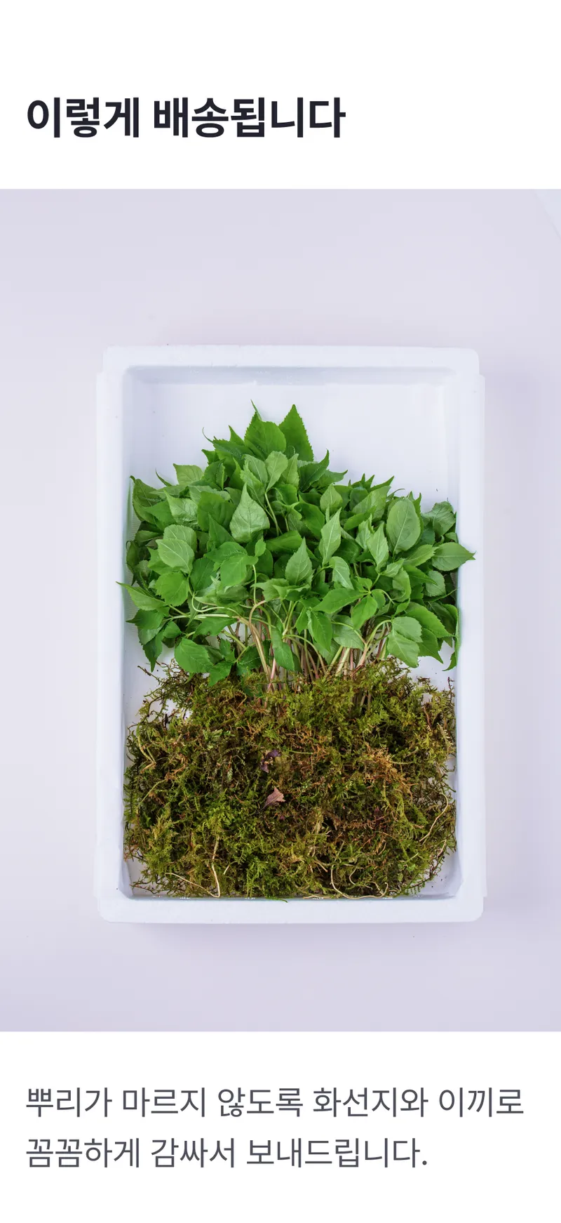 배송정보 (5).png