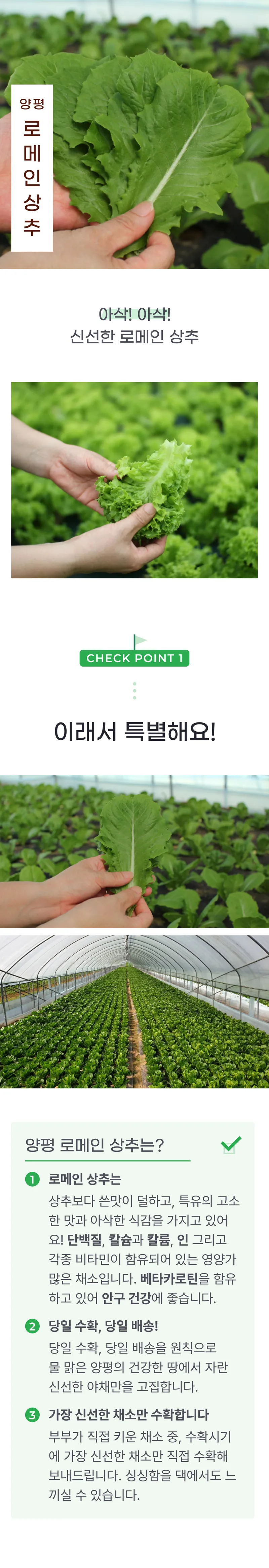 01 생산~포장 과정 (A).png