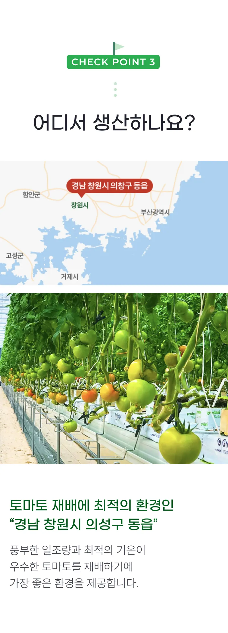 03 어디서 생산하나요_.png