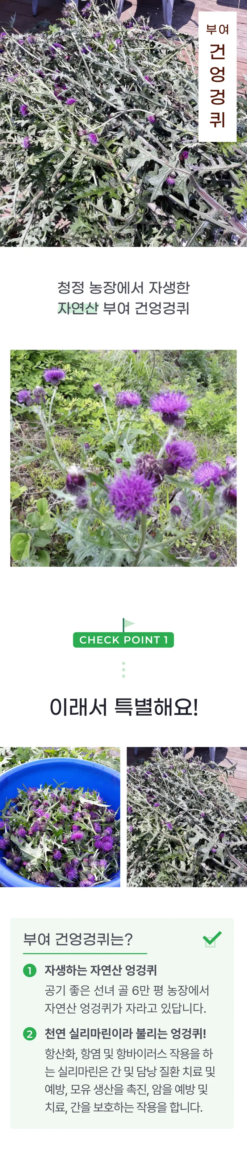 01 생산~포장 과정 (A).png