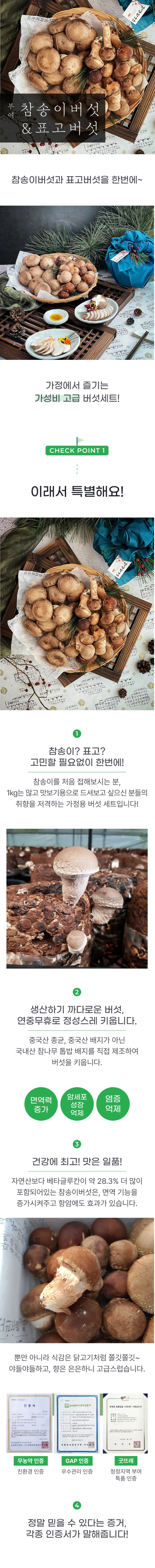 01 생산~포장 과정 (A).png