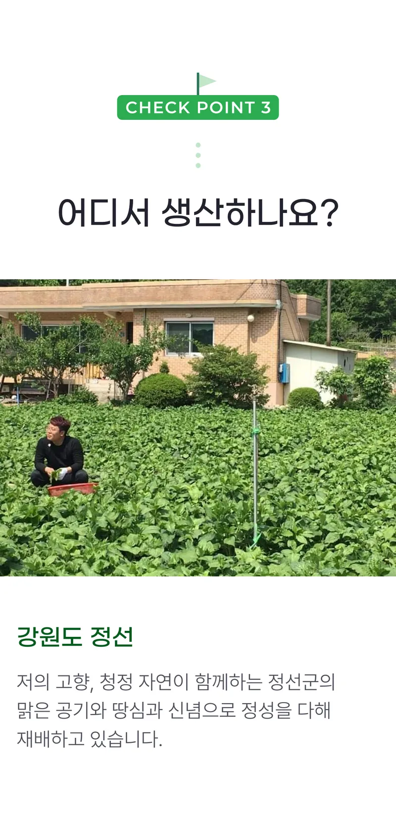 03 어디서 생산하나요_.png