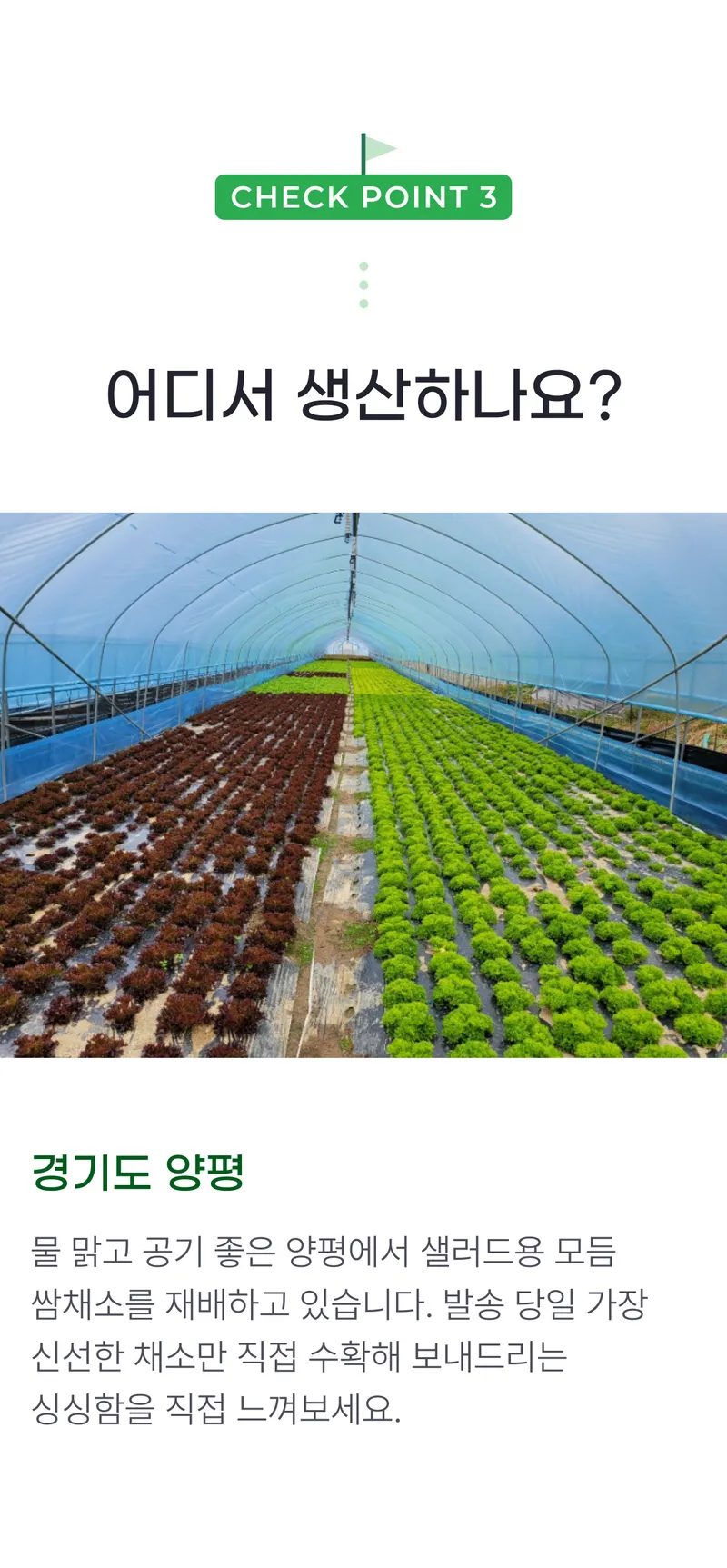 03 어디서 생산하나요_.png