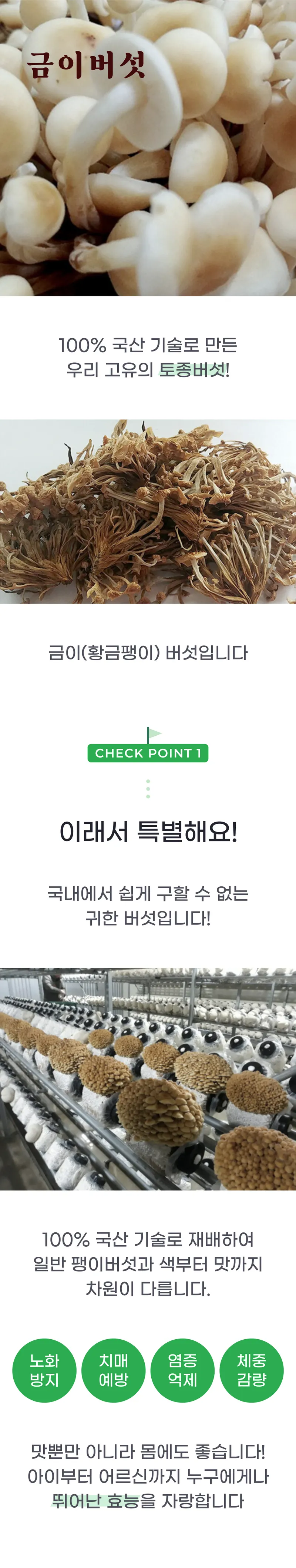 01 생산~포장 과정 (A).png