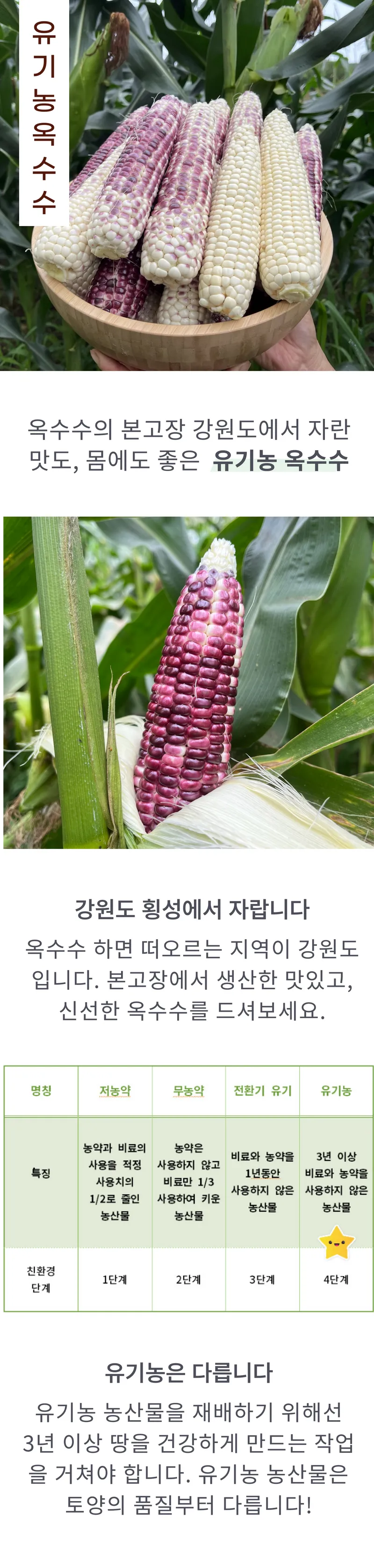 01 생산~포장 과정 (A).png