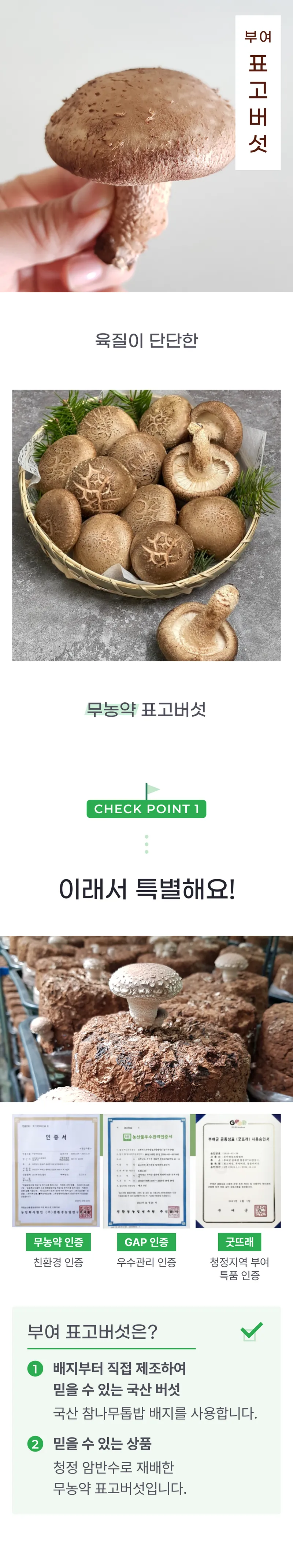 01 생산~포장 과정 (A).png