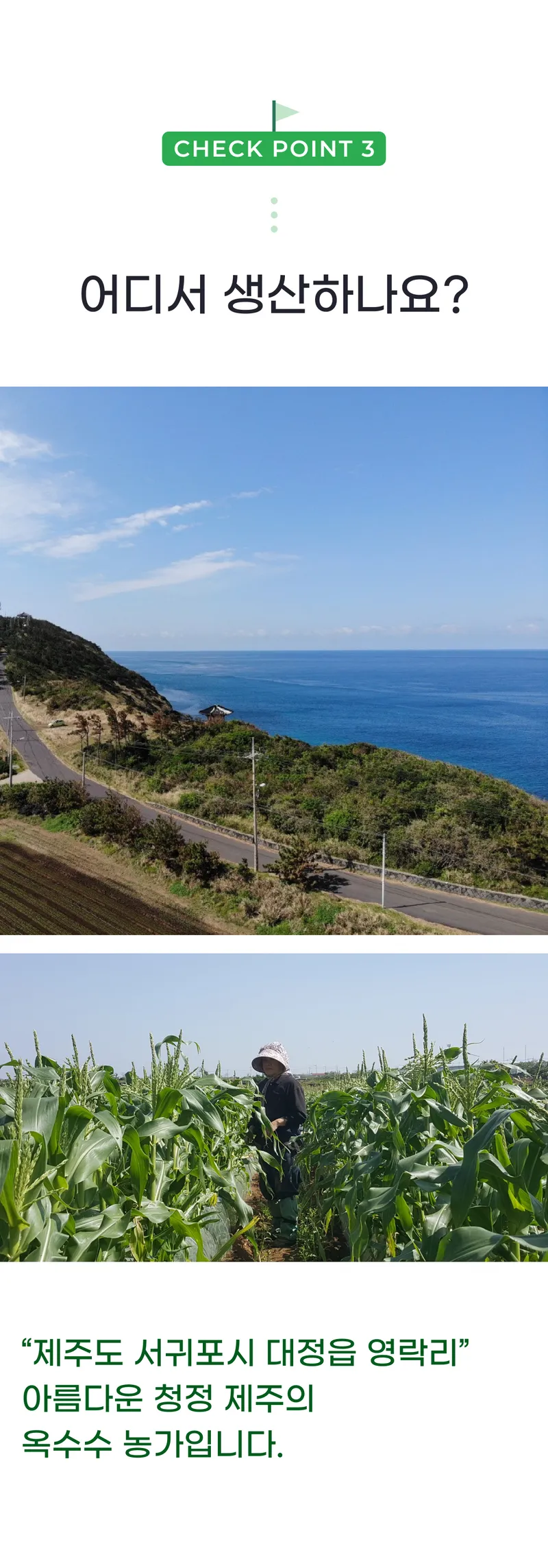 03 어디서 생산하나요_.png