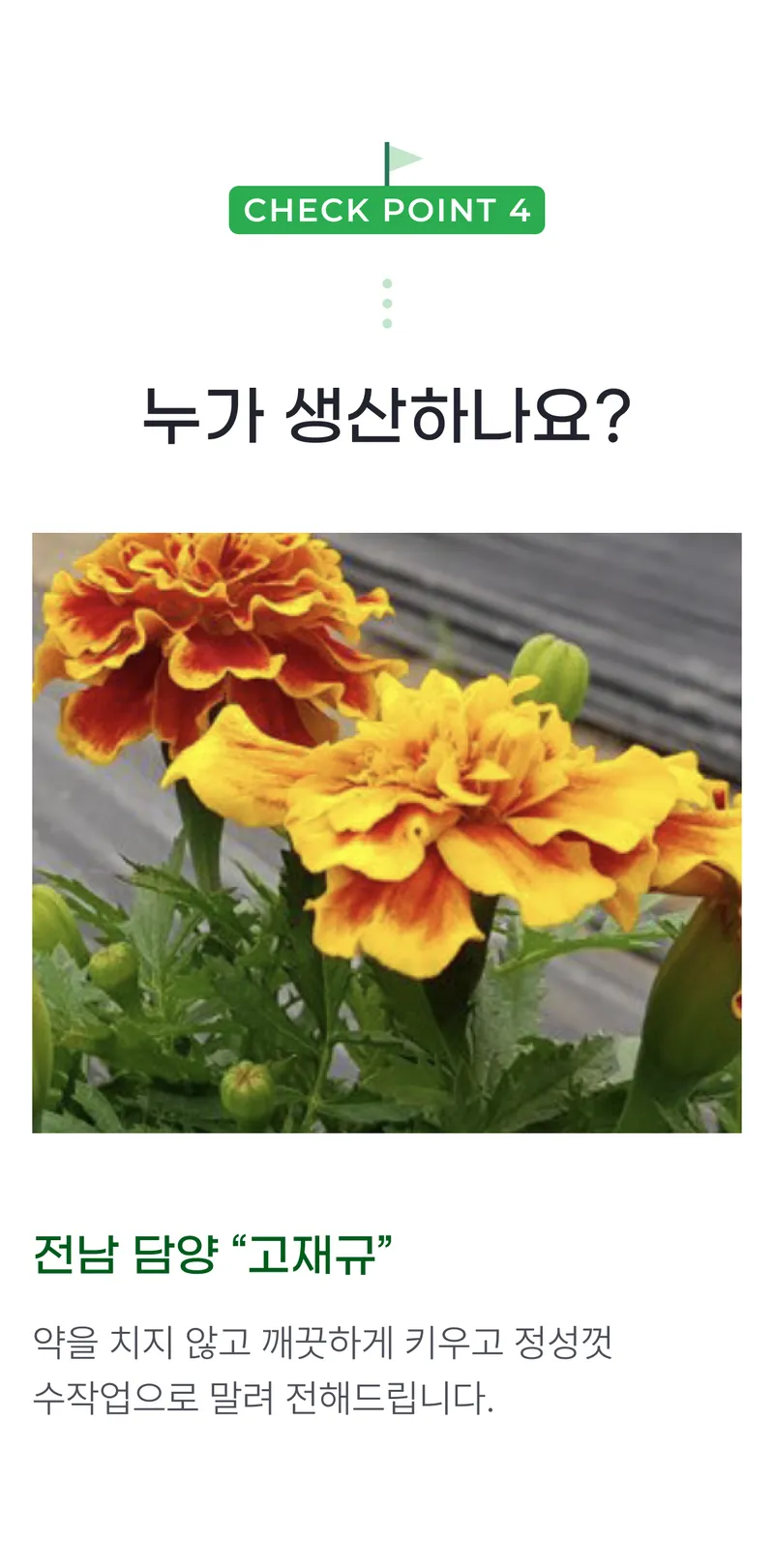 03 누가 생산하나요_.png