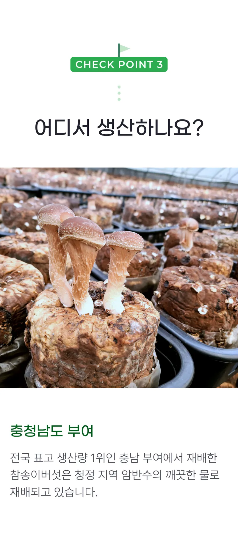 03 어디서 생산하나요_.png