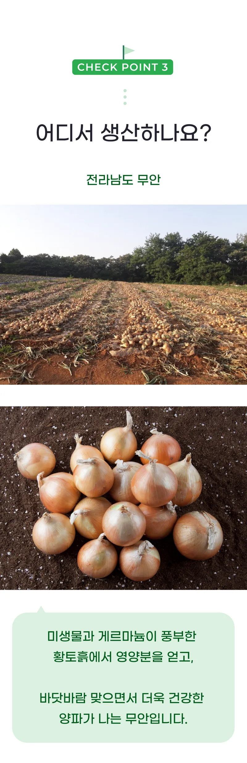 03 어디서 생산하나요_.png