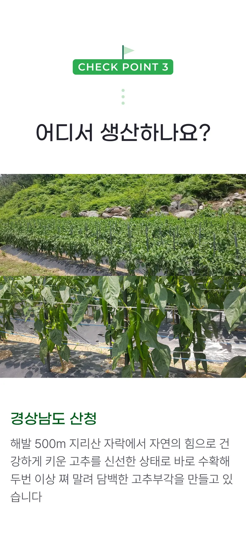 03 어디서 생산하나요_.png