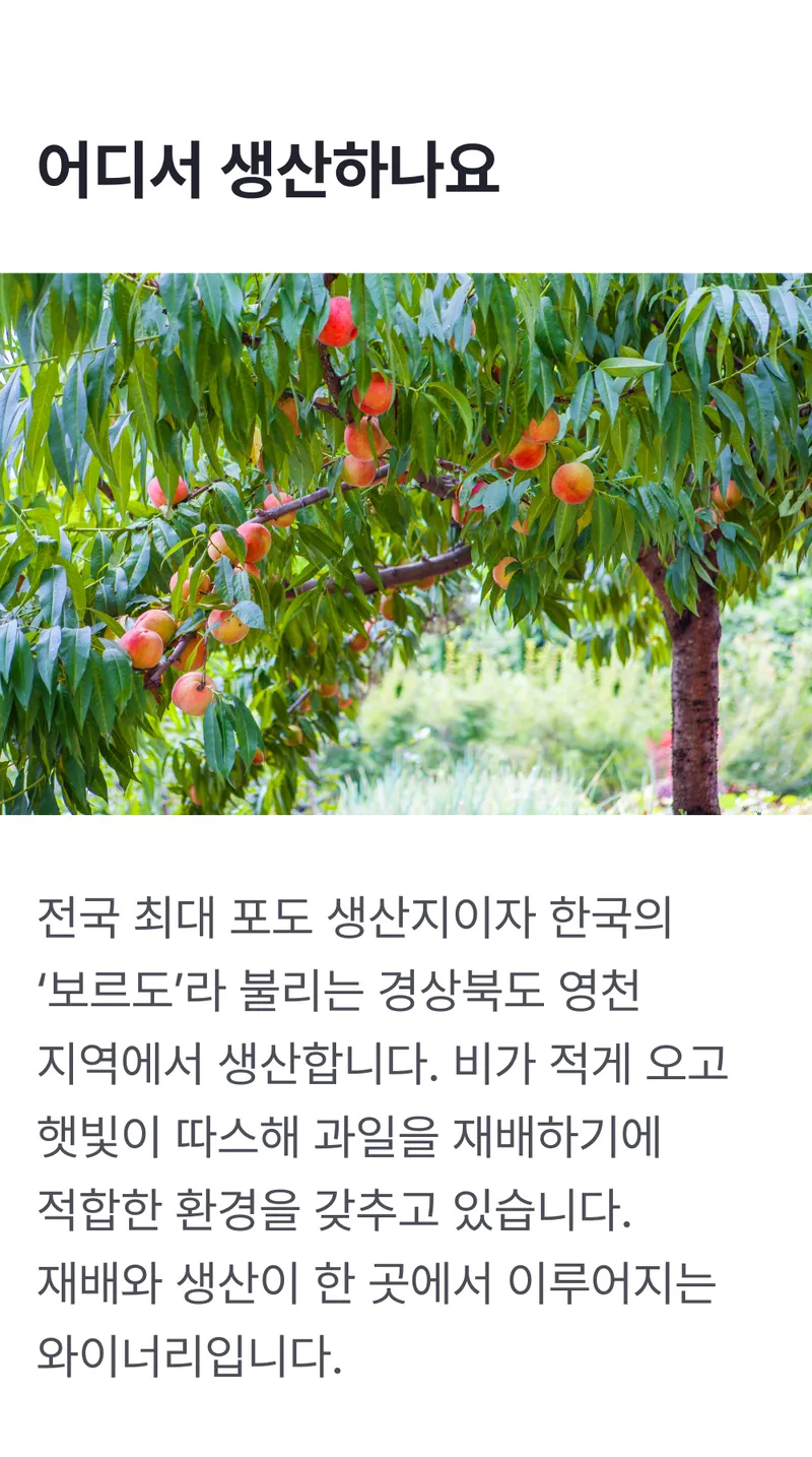 생산지정보 (1).png