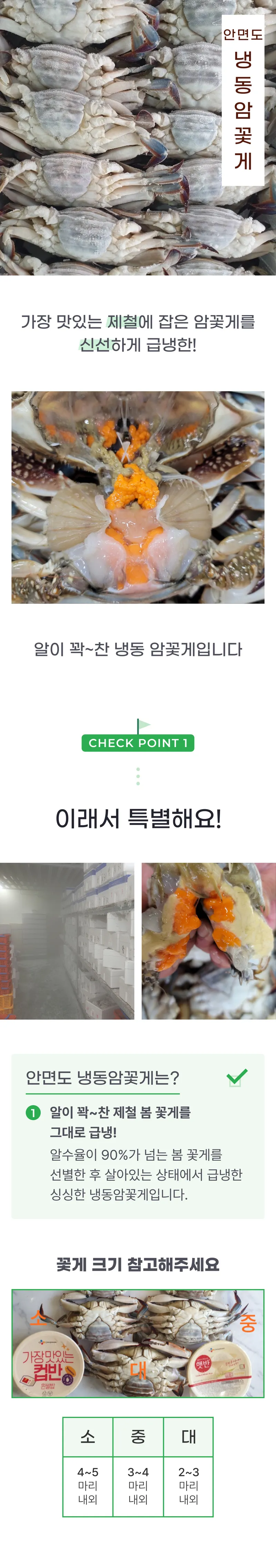 01 생산~포장 과정 (A).png